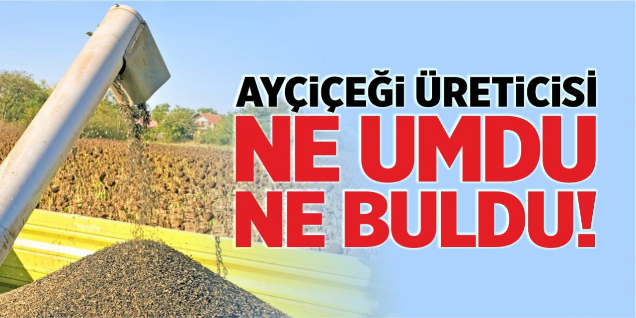 Ayçiçeği üreticisi ne umdu ne buldu!