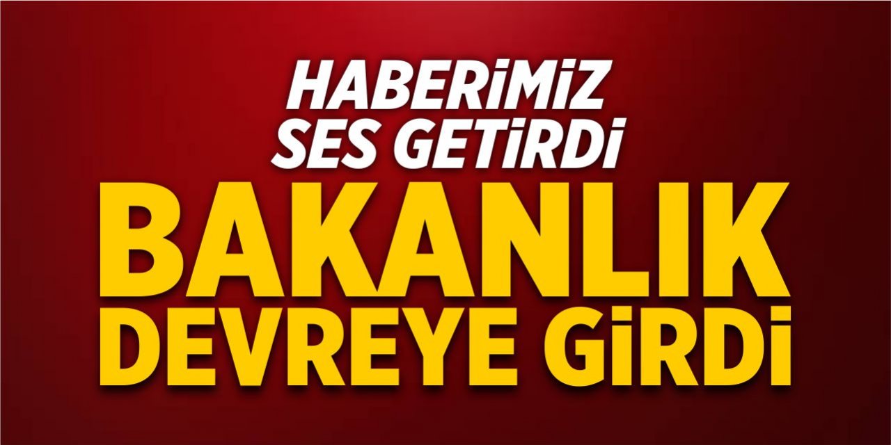 "Bilecik'e ayıp" haberimiz yankı uyandırdı! Bakanlık devreye girdi!