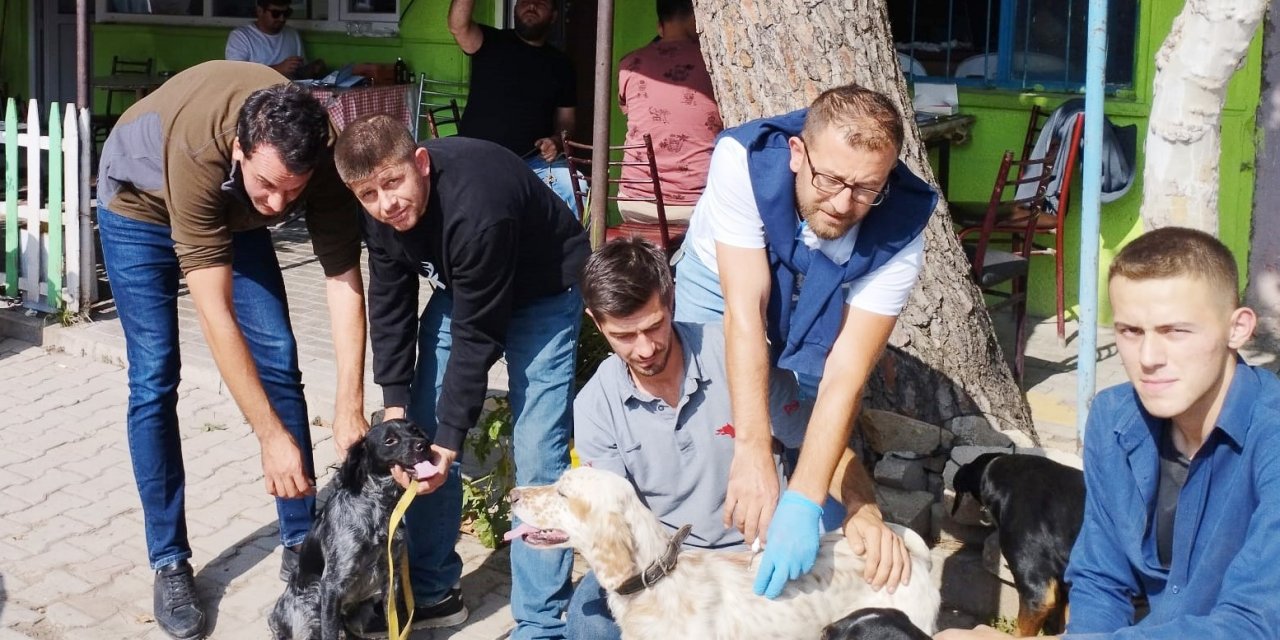 100 Av Köpeği Çiplendi