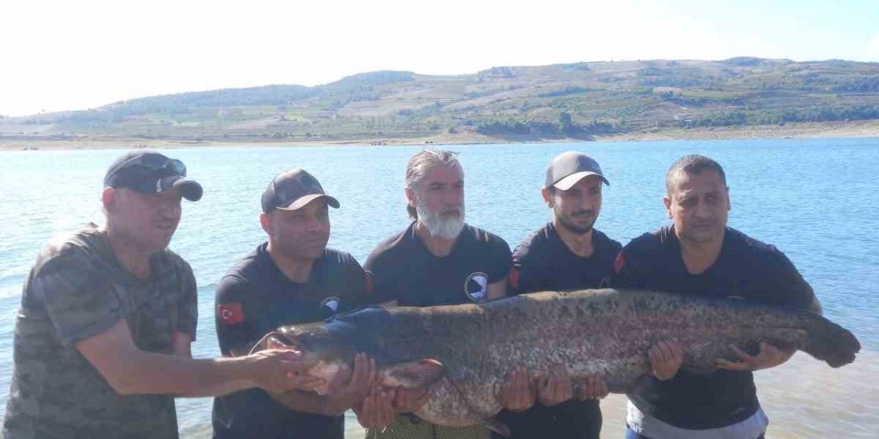 48 Kilogram Ağırlığında Yayın Balığı Yakaladı
