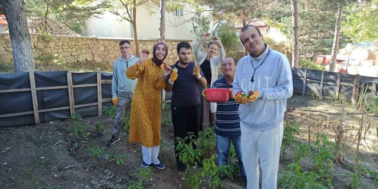 Bahçeye Dikilen Meyve Ve  Sebzelerin Hasadı Yapıldı