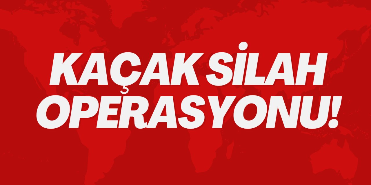 Bilecik'te kaçak silah operasyonu!