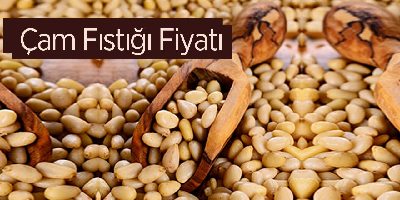 Çam Fıstığı Fiyatı