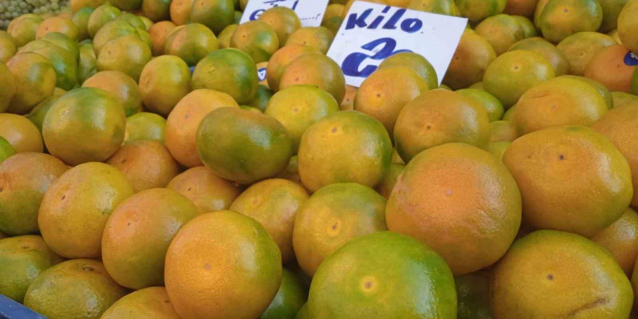 Mandalina Satışından Beklentisi Yüksek