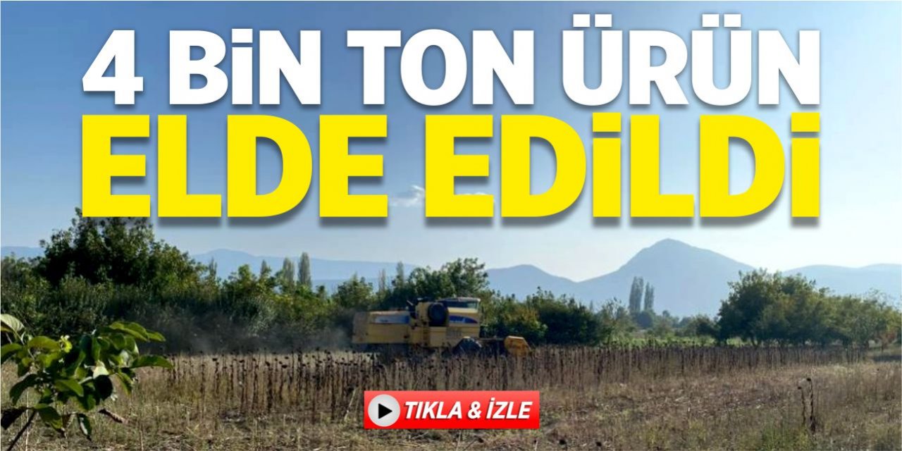 4 bin ton ürün elde edildi