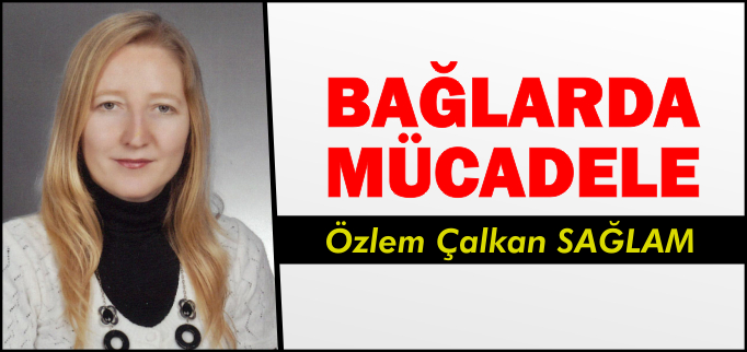 BAĞLARDA MÜCADELE