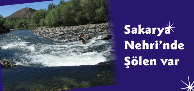 SAKARYA NEHRİNDE ŞÖLEN VAR