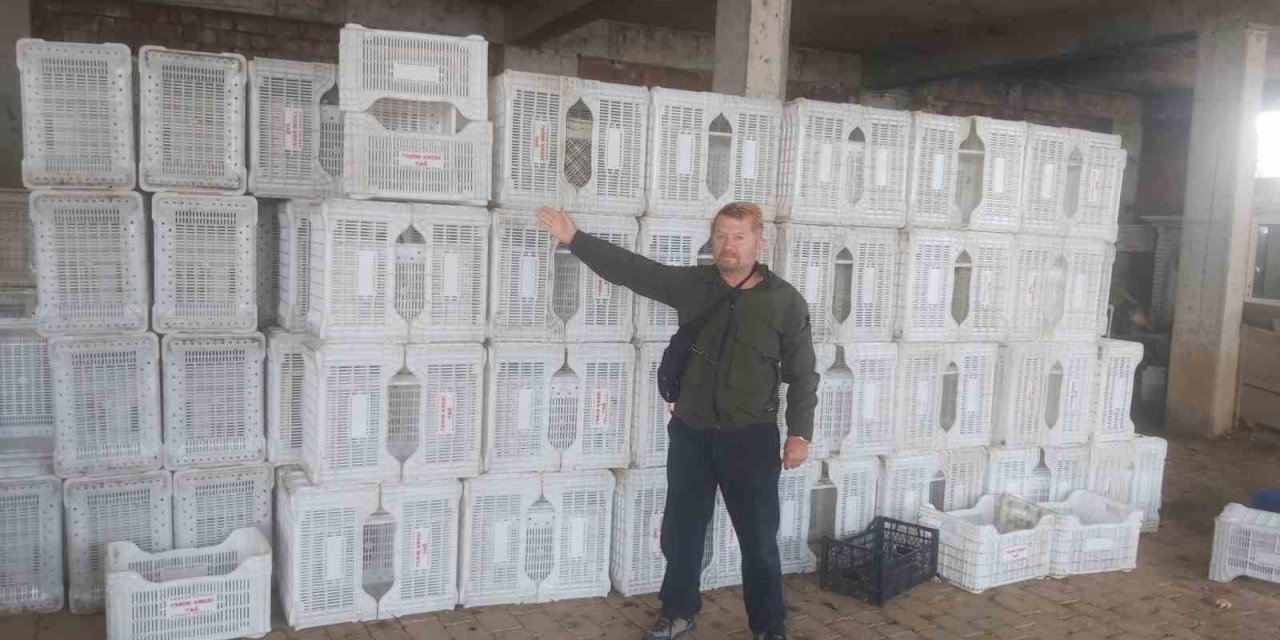 Tarım Kredi Zeytin Üreticisini Yüzüstü Bıraktı