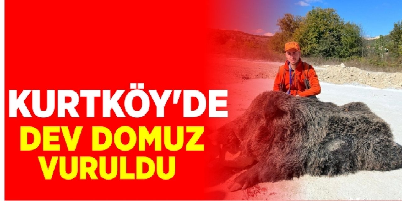 Kurtköy’de Dev Domuz Vuruldu!