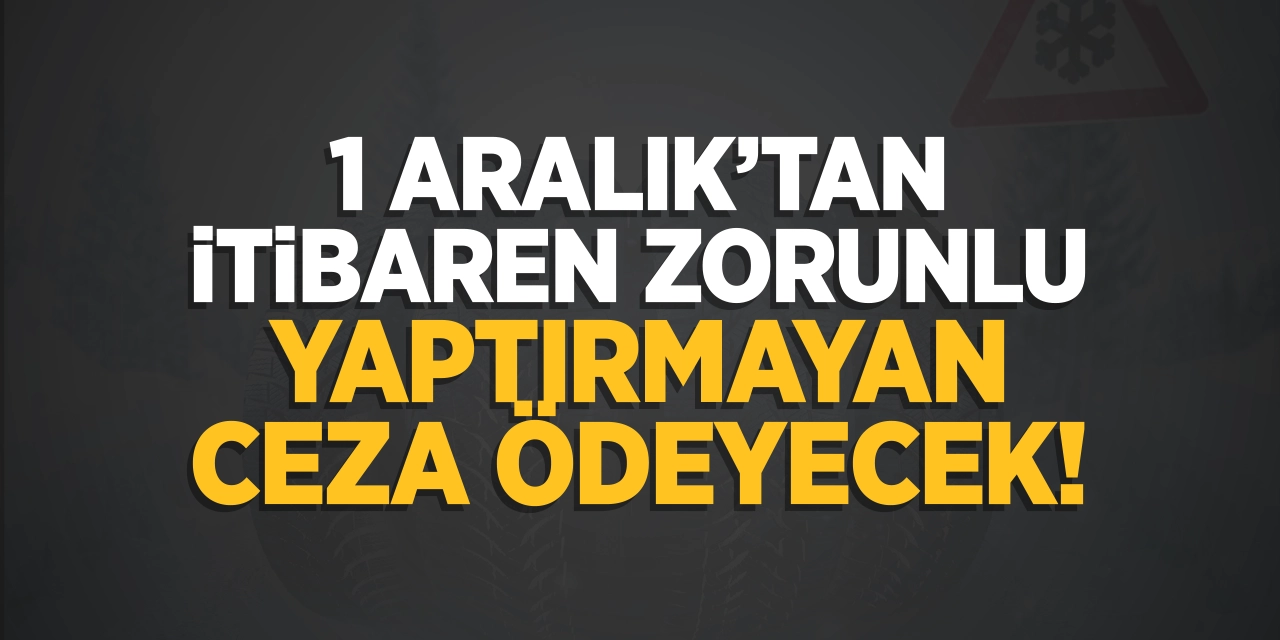 1 Aralık’tan itibaren zorunlu! Yaptırmayan ceza ödeyecek!