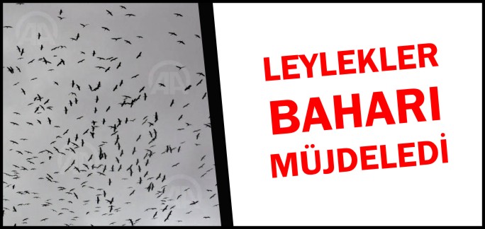 LEYLEKLER BAHARI MÜJDELEDİ