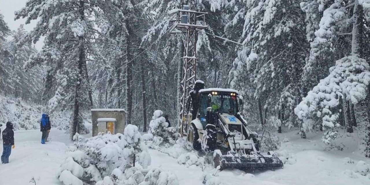 Elektrik direğinin üzerine devrilen ağaç kesintiye sebep oldu