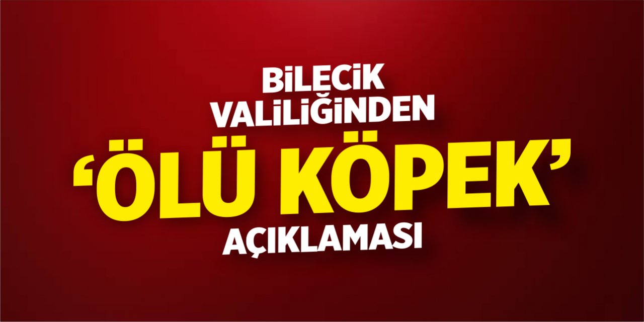 Bilecik Valiliğinden 'Ölü Köpek' açıklaması