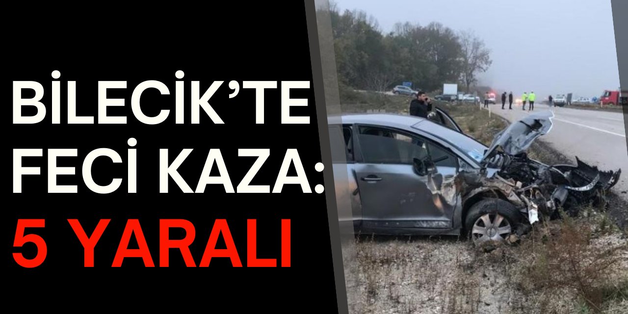 Bilecik'te feci kaza: 5 yaralı