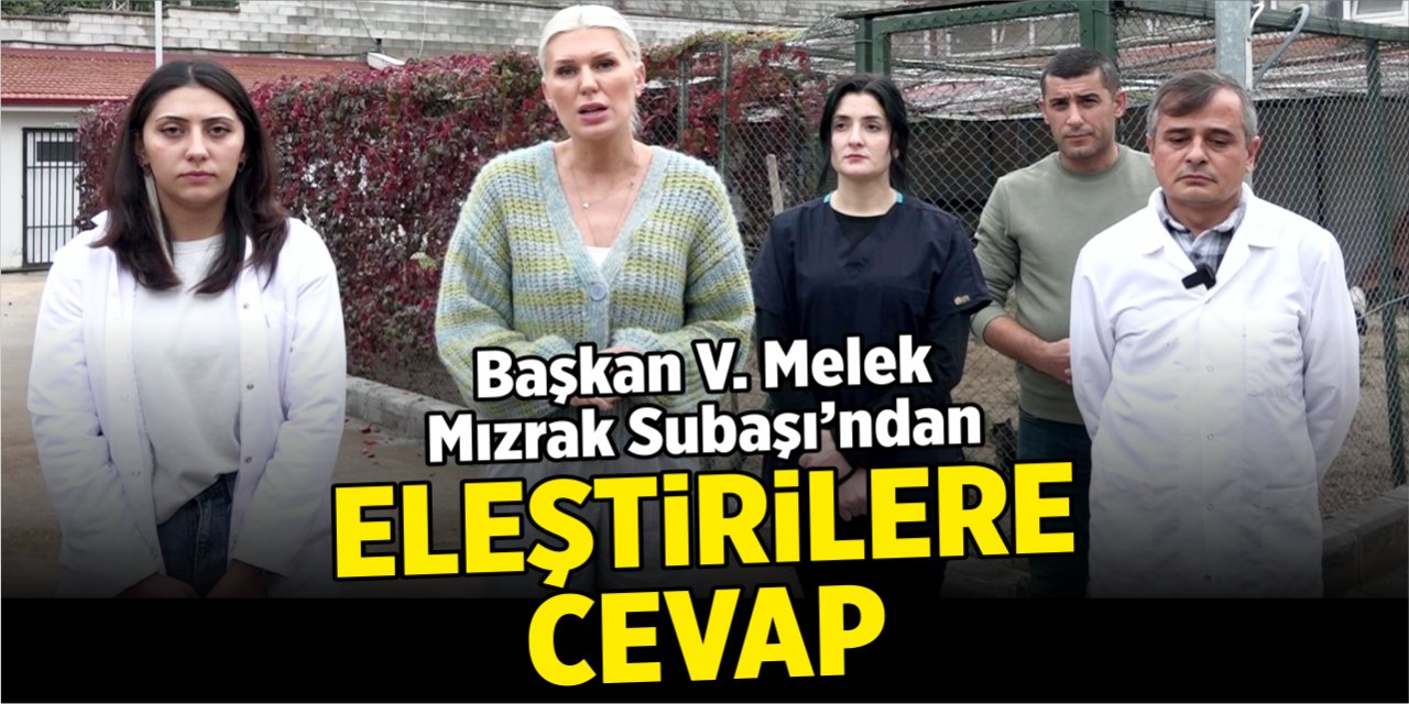 Başkan V. Subaşı’ndan eleştirilere cevap