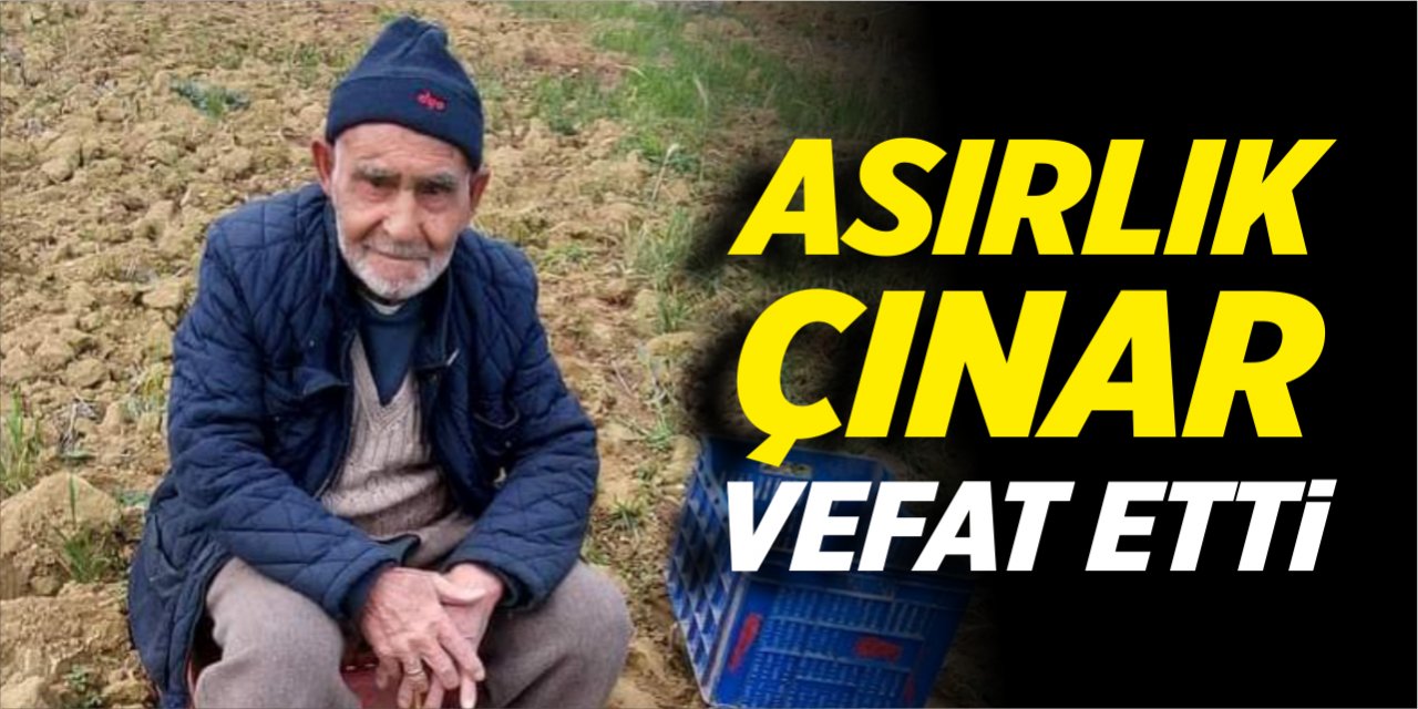 Asırlık çınar vefat etti