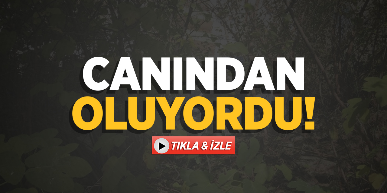 Bilecik'teki Kazada Canından Oluyordu!