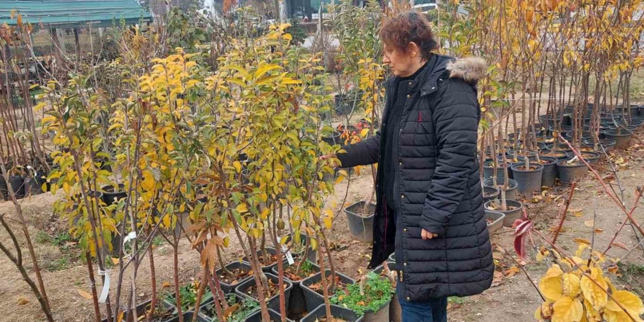Fide Ve Fidan Satış Yerleri Denetleniyor