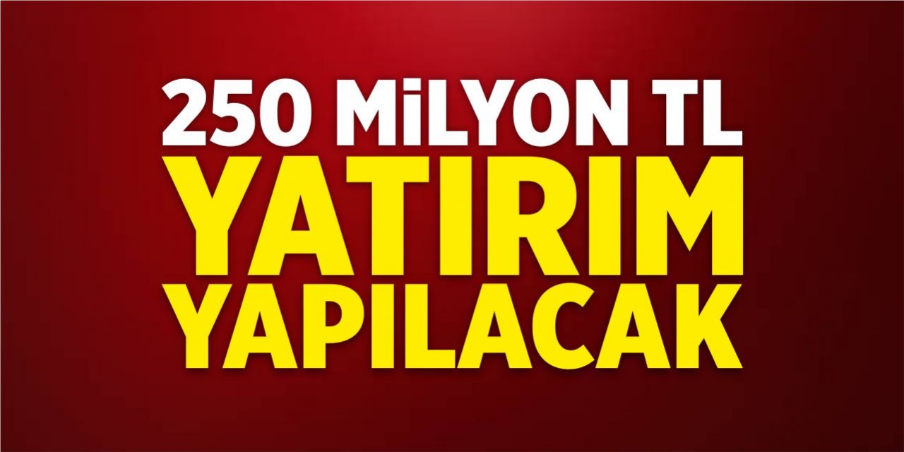 250 milyon TL yatırım yapılacak