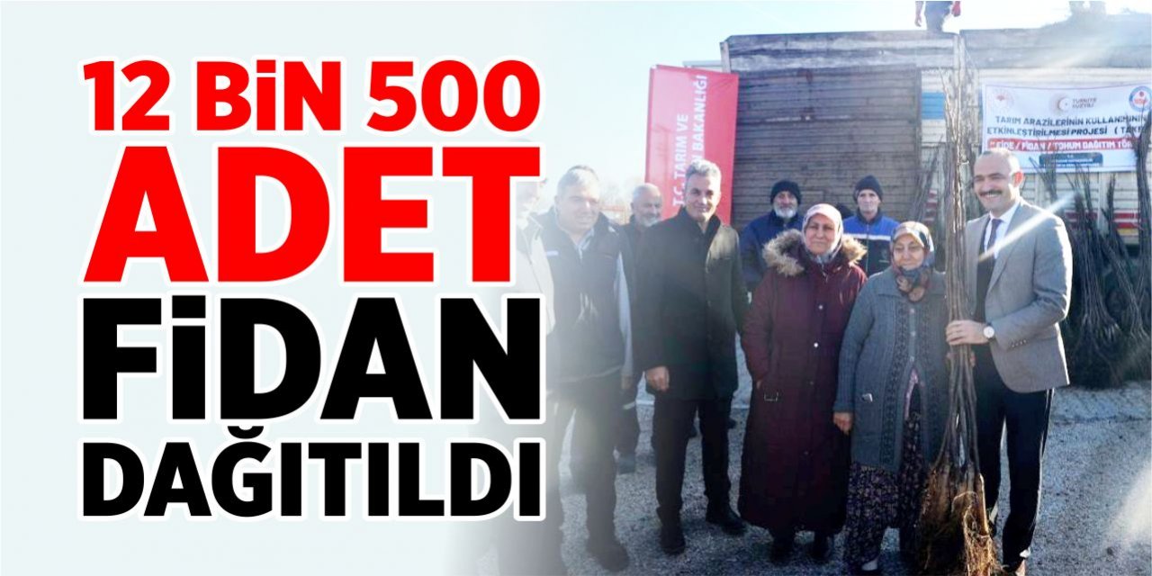 12 bin 500 adet ceviz fidanı dağıtıldı