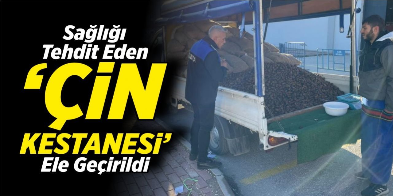 Sağlığı tehdit eden ‘Çin kestanesi’ ele geçirildi