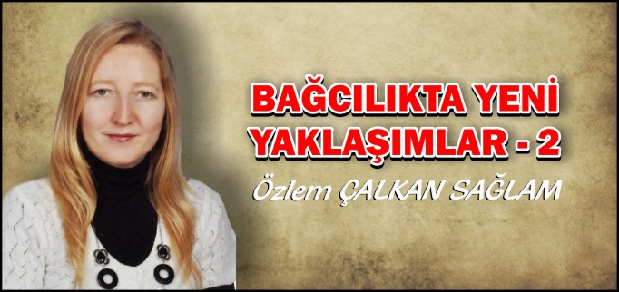 BAĞCILIKTA YENİ YAKLAŞIMLAR-2