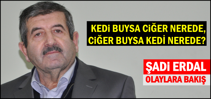 KEDİ BUYSA CİĞER NEREDE, CİĞER BUYSA KEDİ NEREDE?