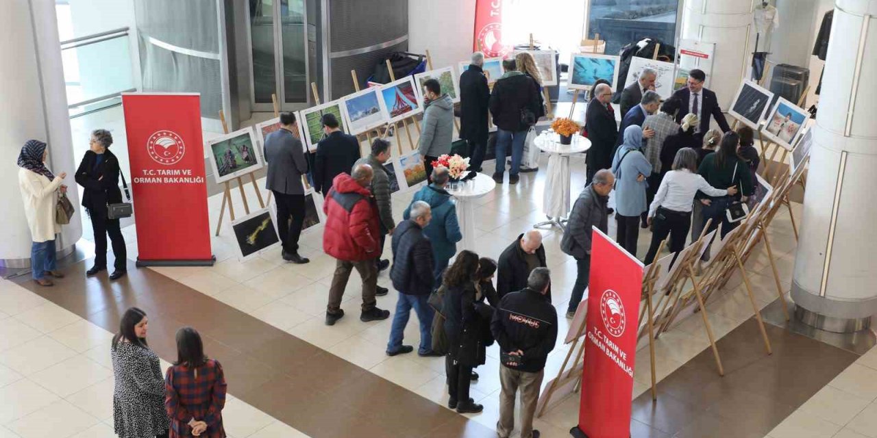 Tarım, Orman Ve İnsan Temalı Fotoğraf Sergisi Açıldı