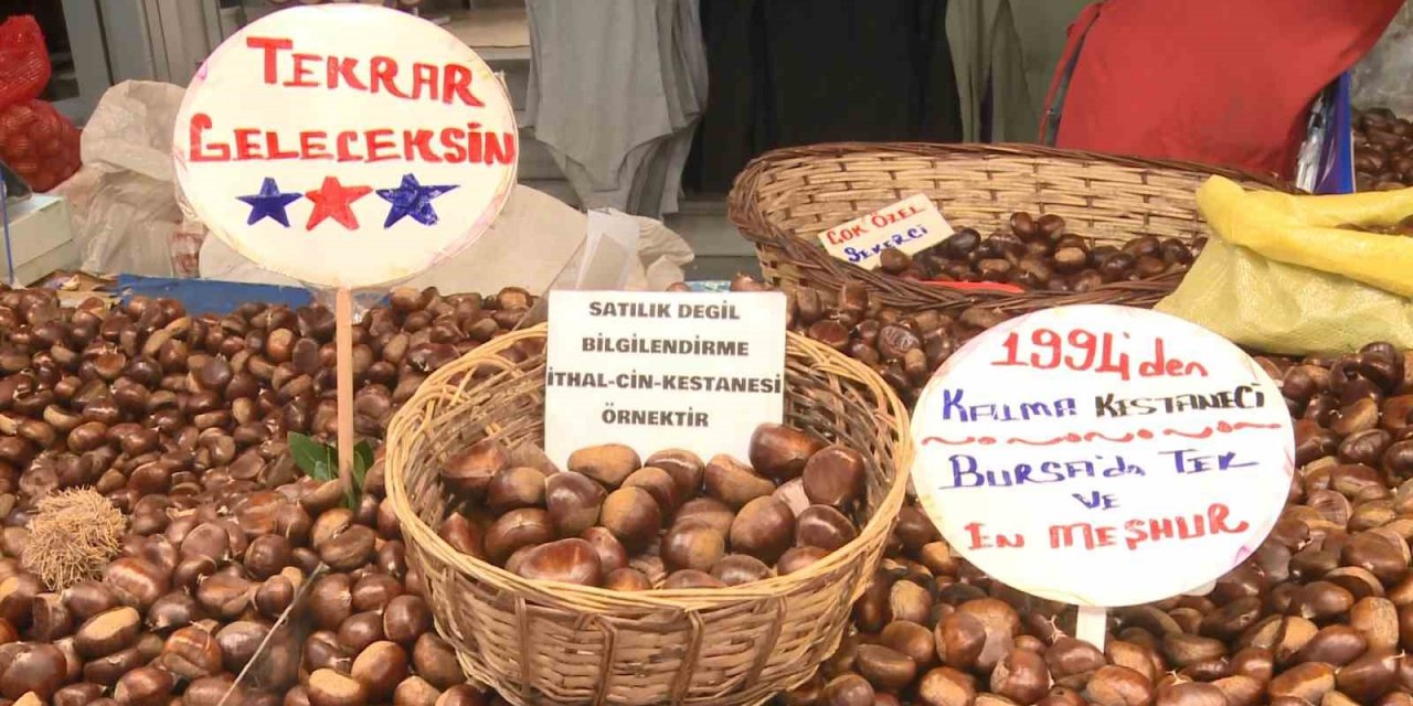 Kestane Keyfiniz Yeni Yılda Zehir Olmasın