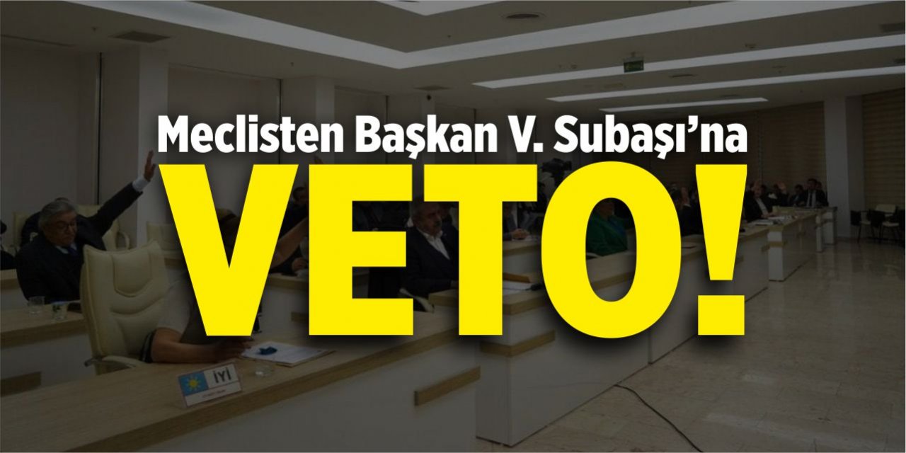Meclisten Başkan V. Subaşı'na veto!