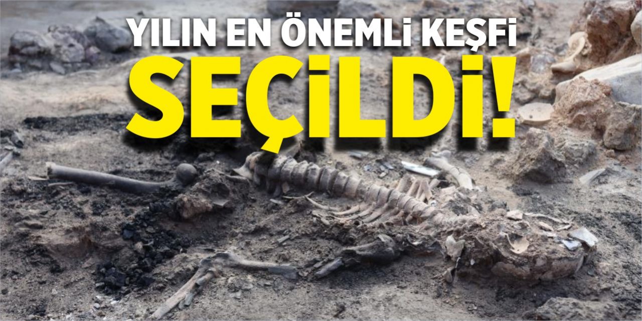 Yılın en önemli keşfi seçildi