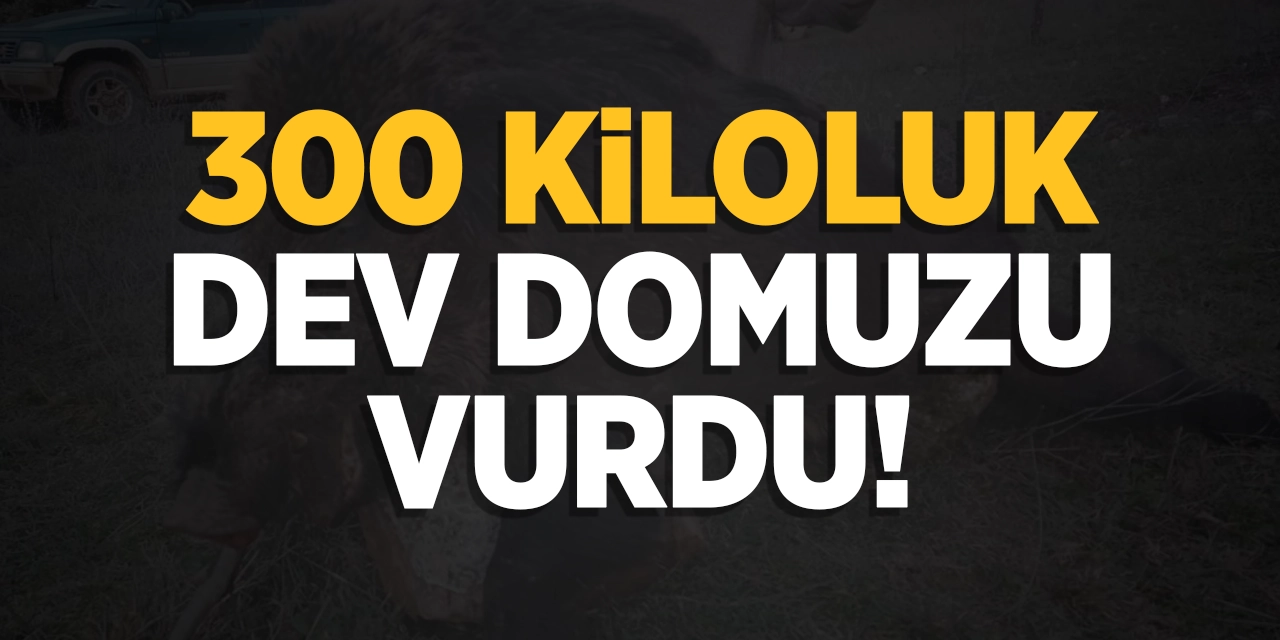 Bilecik'te 300 Kiloluk Dev Domuzu Vurdu!