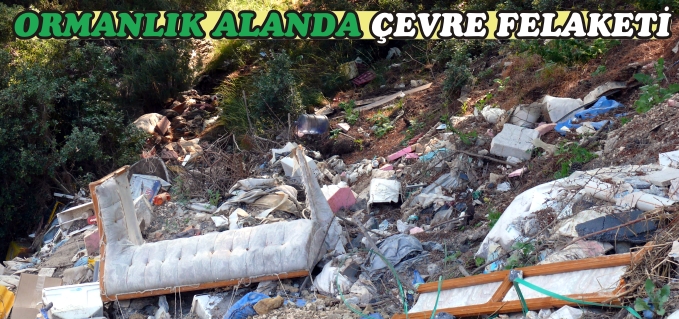 ORMANLIK ALANDA ÇEVRE FELAKETİ
