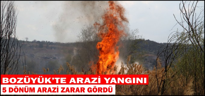 BOZÜYÜK’TE ARAZİ YANGINI