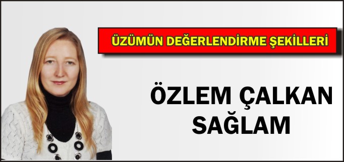 ÜZÜMÜN DEĞERLENDİRME ŞEKİLLERİ