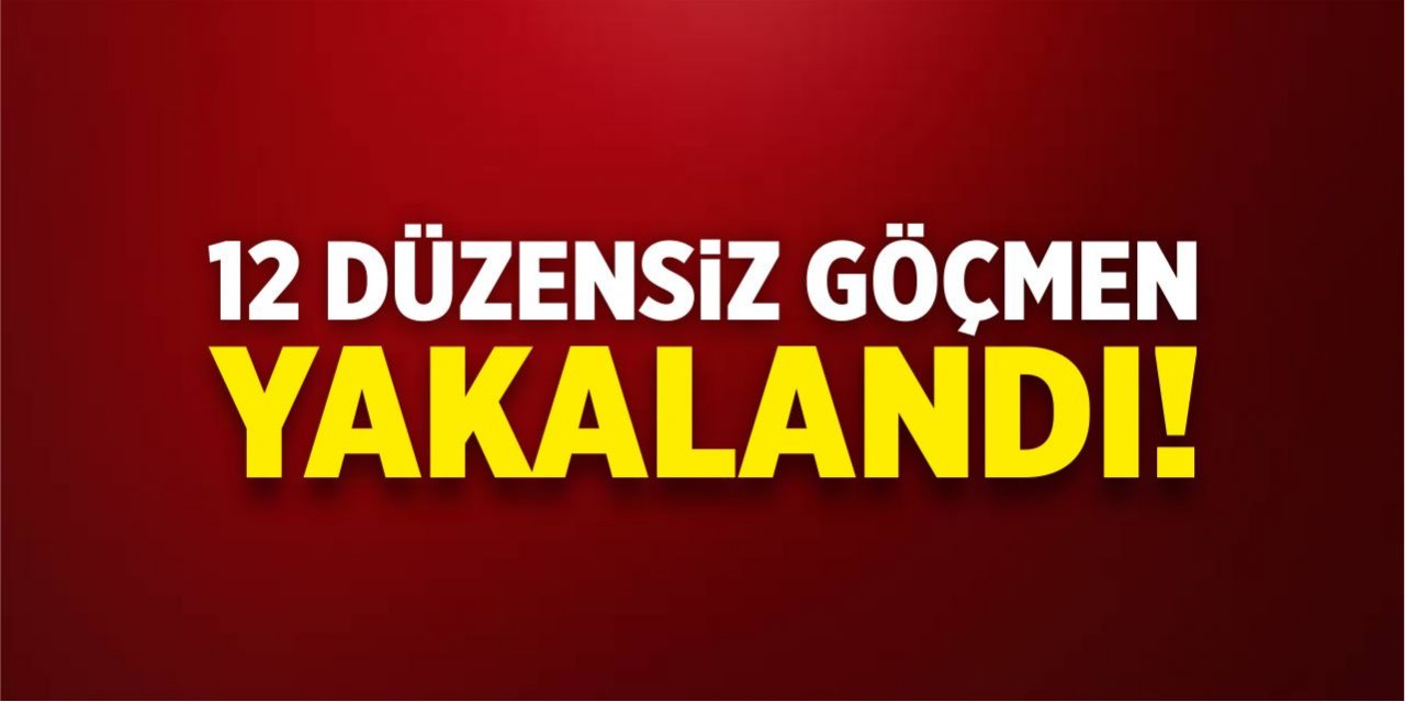 Bilecik'te 12 düzensiz göçmen yakalandı!