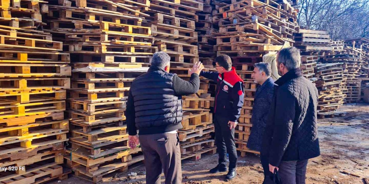 İhracata Konu Olan Ahşap Ambalaj Malzemeleri İle İlgili Denetim