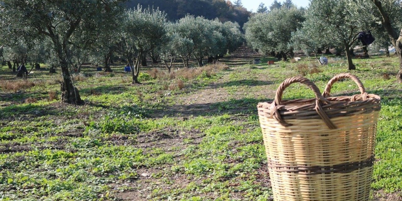 Marmarabirlik’ten 650 Milyon Liralık Ödeme