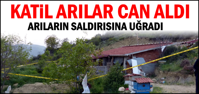 KATİL ARILAR CAN ALDI
