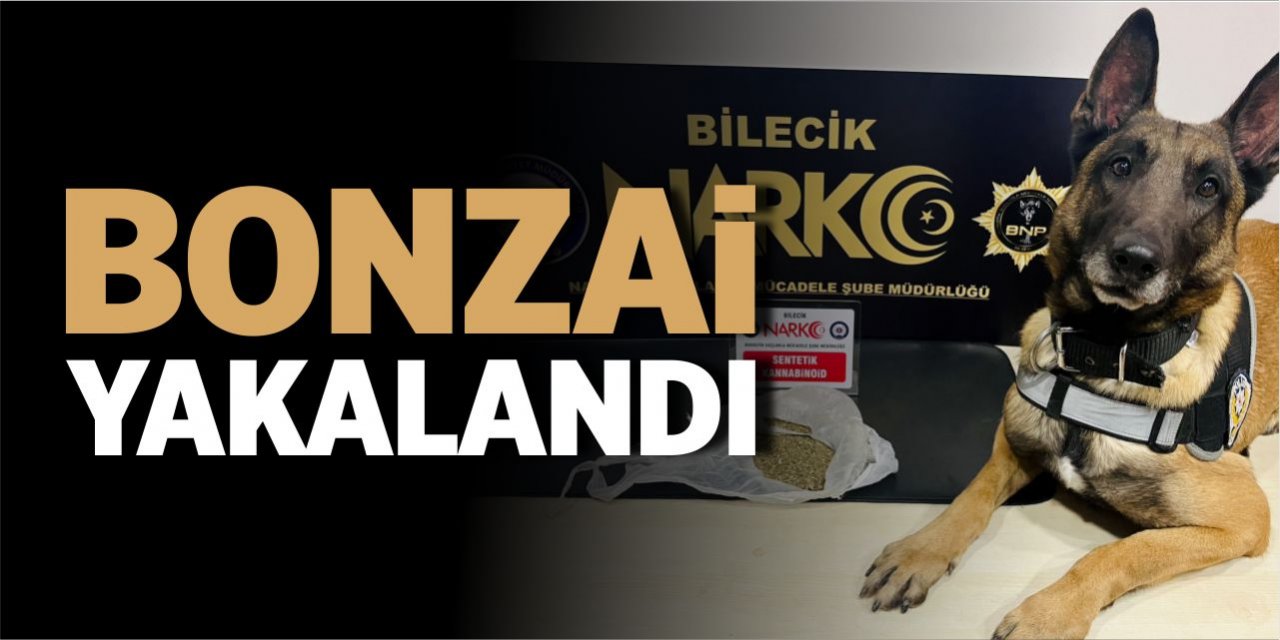 Bonzai yakalandı!