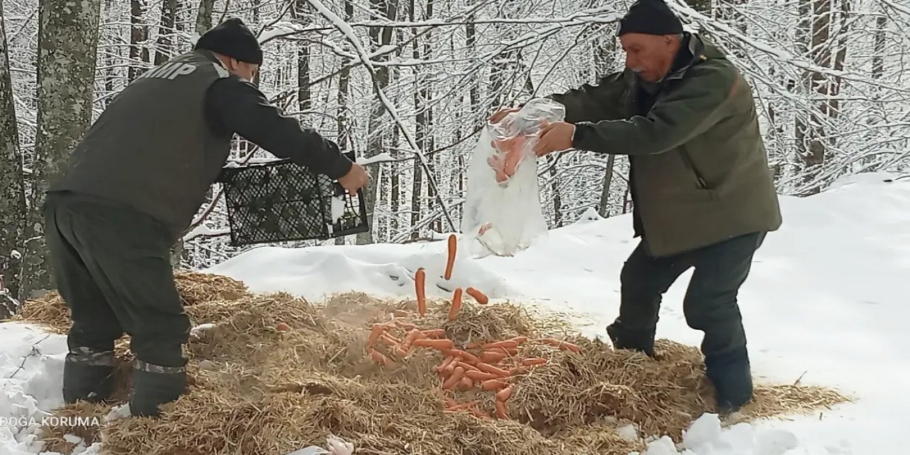 Yaban Hayvanları İçin Doğaya Yem Bırakıldı