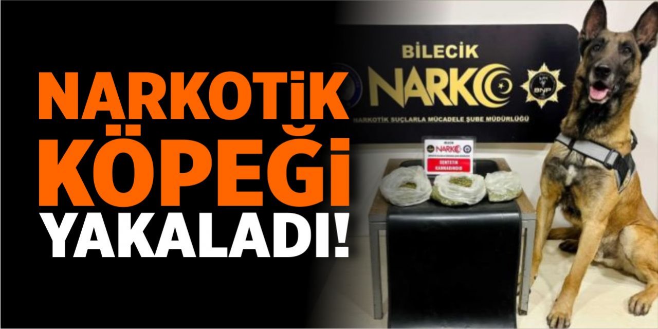 Narkotik köpeği yakaladı!