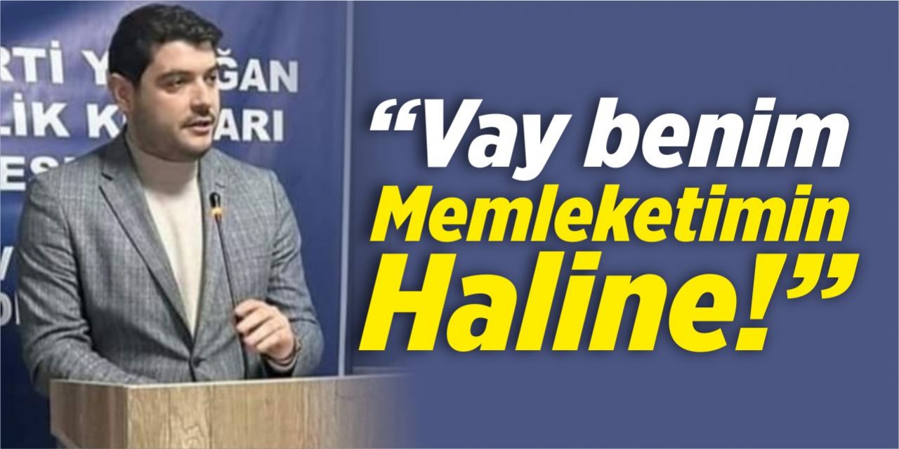 “Vay benim memleketimin haline!”