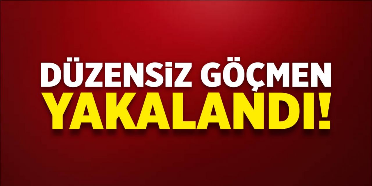 Düzensiz göçmen yakalandı!