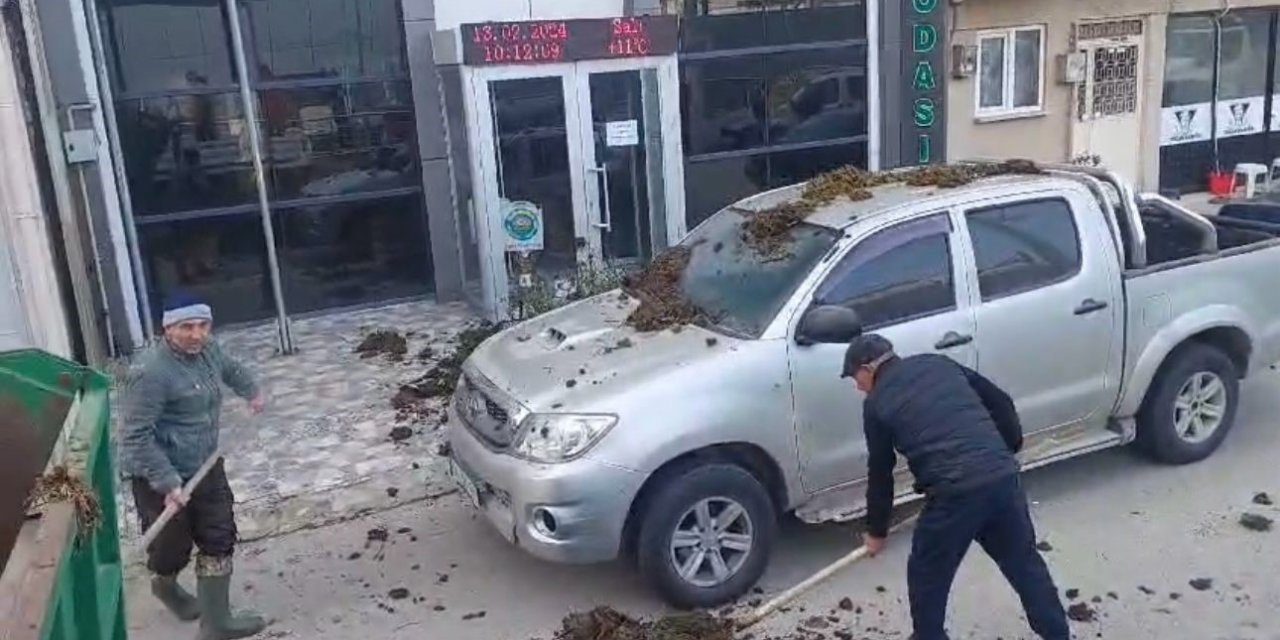 Chp’nin Belediye Başkan Adayına Dışkı Şoku