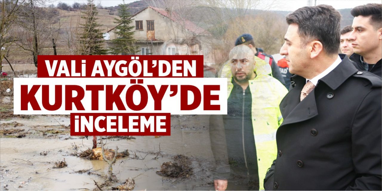 Vali Aygöl’den Kurtköy’de inceleme