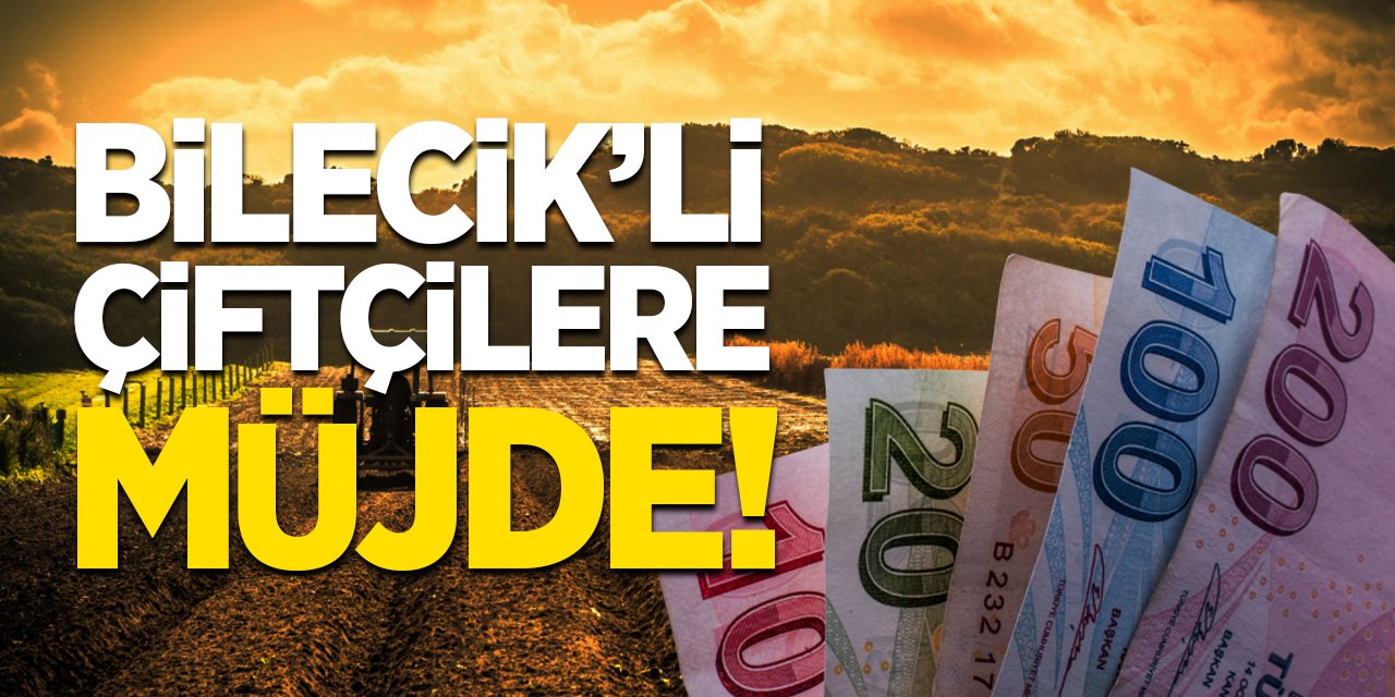 Bilecikli Çiftçilere Müjde: Tarımsal Destekler Hesaplara Yatıyor!