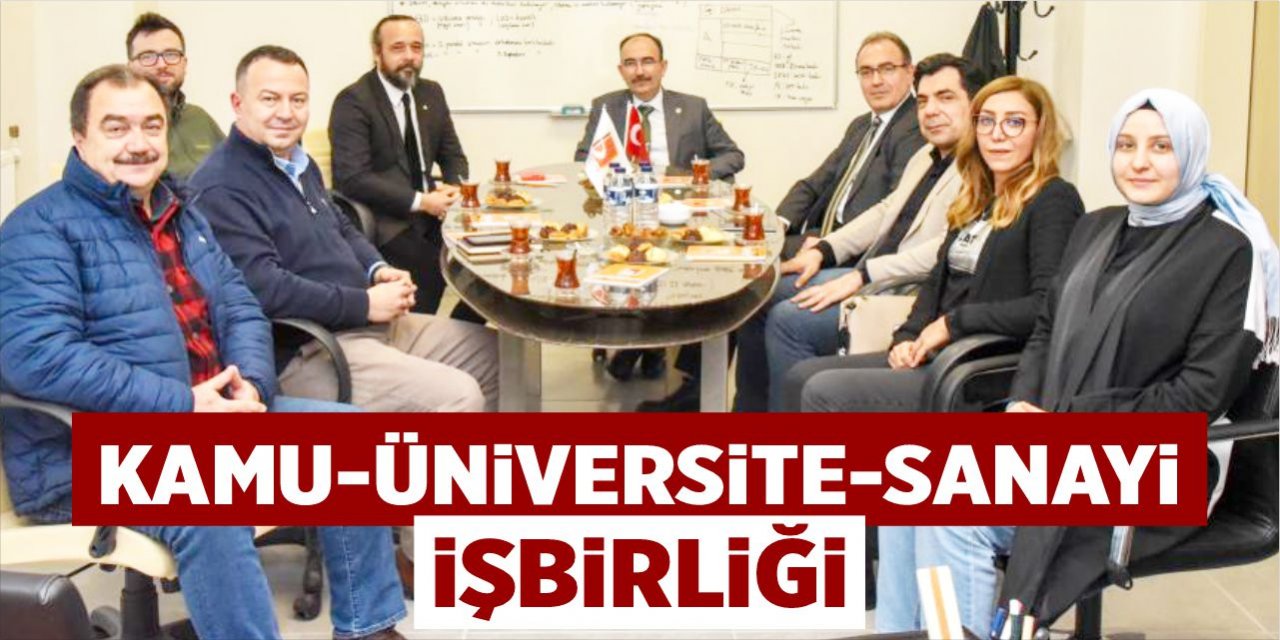 Kamu-Üniversite-Sanayi işbirliği