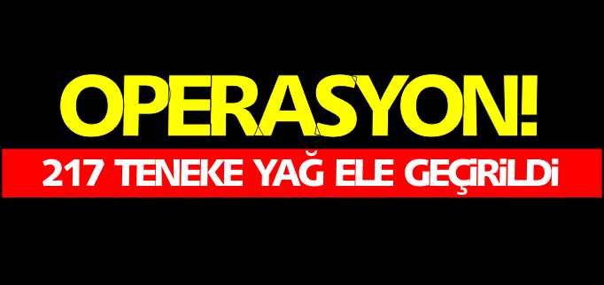 217 TENEKE KAÇAK YAĞ ELE GEÇİRİLDİ