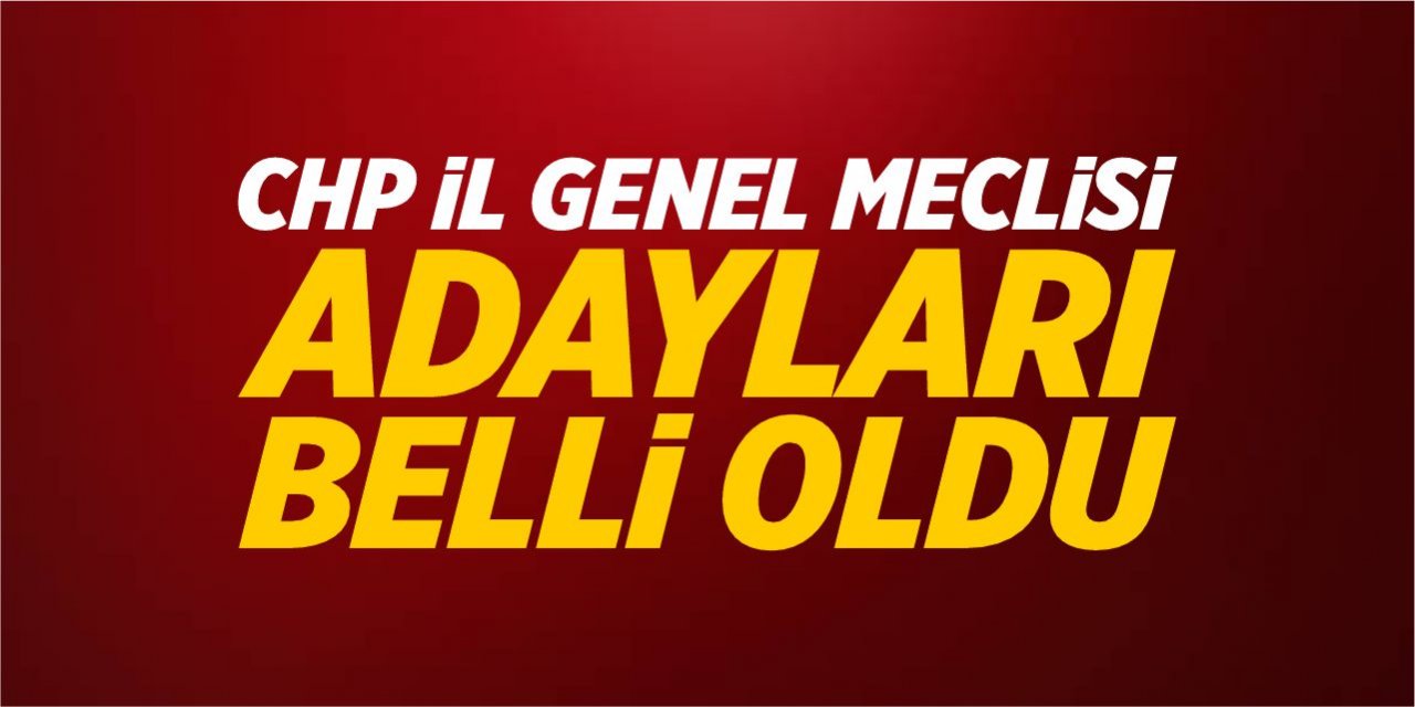 CHP Bilecik İl Genel Meclisi Adayları belli oldu